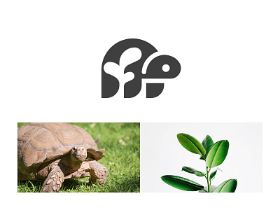 Plant Tortoise ready-made logo for sale 3d anhdodes animation branding design graphic design illustration logo logo design logo designer logodesign minimalist logo minimalist logo design motion graphics ui