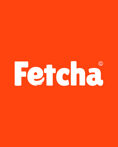 Fetcha Branding branding design logo typography