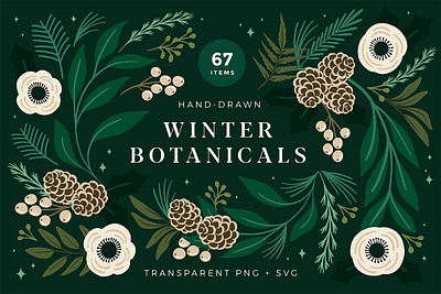 Christmas Botanical Illustrations botanical botanical illustration christmas christmas florals christmas pattern elegant floral illustration floral pattern greenery holiday holiday illustrations illustration seamless seamless pattern winter winter florals winter wedding