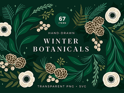 Christmas Botanical Illustrations botanical botanical illustration christmas christmas florals christmas pattern elegant floral illustration floral pattern greenery holiday holiday illustrations illustration seamless seamless pattern winter winter florals winter wedding