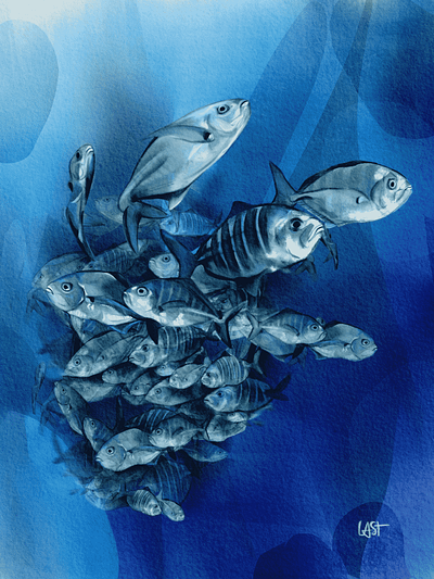 Storm Fish animal blue art digital painting fish lover fish painting fish storm nature procreate art sea underwater underwater art