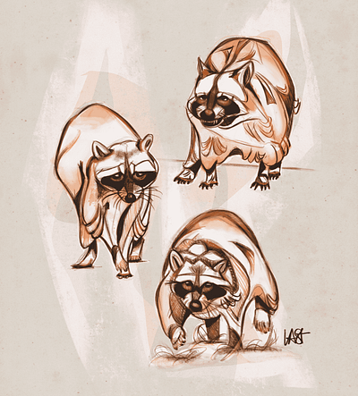 In The Raccoon animal illustration animal lover animal portrait animal sketch charmy raccoon digital art movement orange raccoon procreate raccoon art raccoon painting raccoon poses