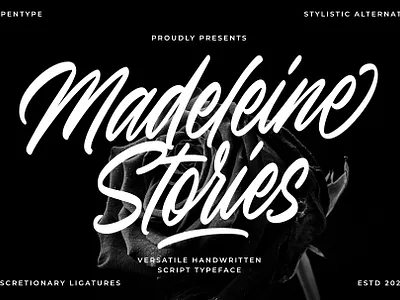 Madeleine Stories branding design font identity illustration lettering logo type typography ui