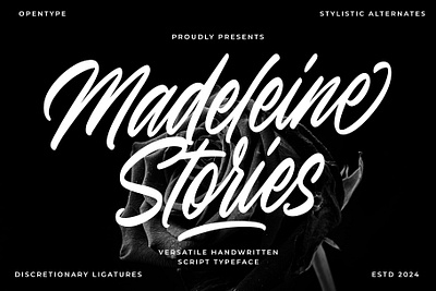 Madeleine Stories branding design font identity illustration lettering logo type typography ui