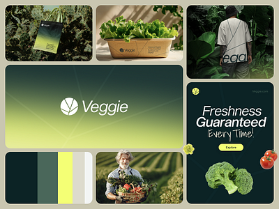 Brand Identity for Vegetable Shop brand brandbook brandesign brandguidelines brandidentity branding color delivery green identity illustration logo logomark logos logotype vector vegetable vegetableshop