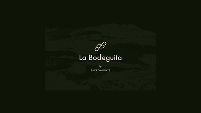 La Bodeguita - Branding branding geometric logo logo design mark minimalistic logo typography