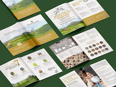 Company Portfolio for Bogawantalawa Tea Estates in Sri Lanka creative portfolio designinspiration product design