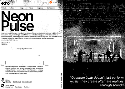 Echo pt-8 concert festival minimal minimalism misic photo copy website