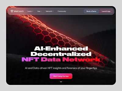 BitsCrunch landing web design web3