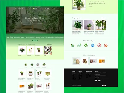 Arphibo Plant and Home Decor Web Page 3d animation branding graphic design logo motion graphics ui