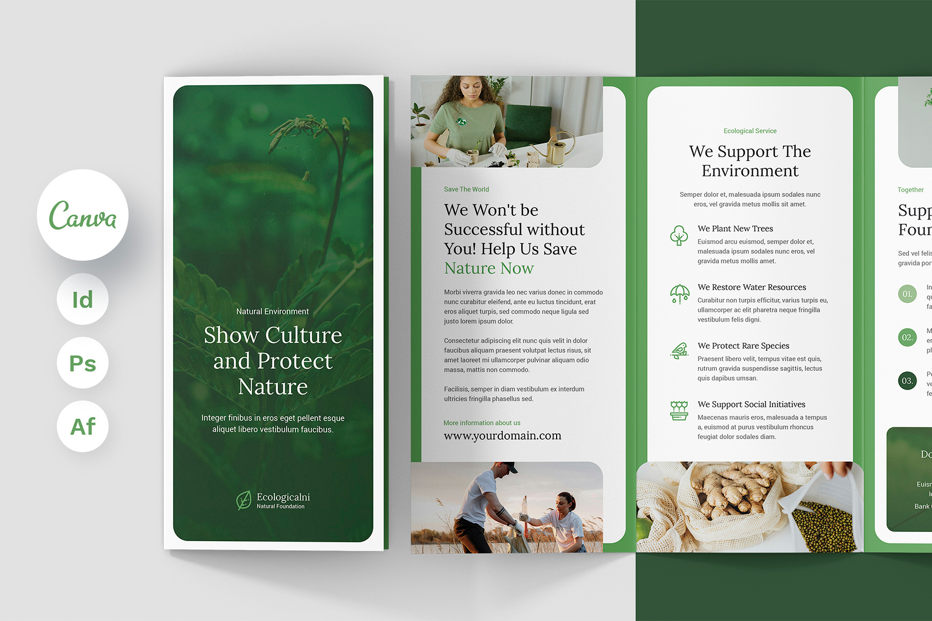 Ecology Brochure Tri-Fold Canva InDesign Photoshop Template brochure brochure design brochure designer brochure download brochure template brochure trifold canva brochure canva download canva pro canva template corporate brochure digital products ecology brochure envato elements etsy shop grapchic template green brochure indesign template photohop template print template
