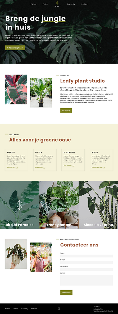 Leafy plant studio branding design logo ui