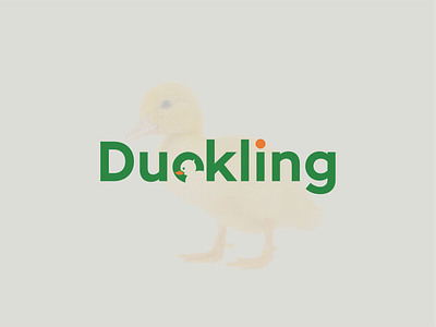 Wordmark/Negative space logo/Duck Farm Logo Design brand logo branding duck farm duck farm logo design duck logo duckling duckling wordmark logo farm logo logo logo design minimal logo minimalist logo negative space logo word mark logo wordmark wordmark logo