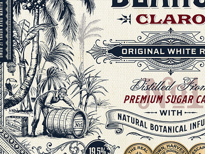 Rum Illustration detail brand identity branding engraving etching graphic design illustration jungle label rum victorian vintage vintage illustration