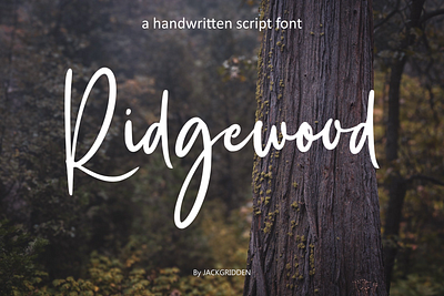 Ridgewood - Handwritten Font branding design fashion font graphic design handwritten illustration logotype ridgewood script typeface wedding