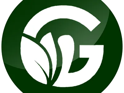 Govee Logo branding graphic design logo motion graphics