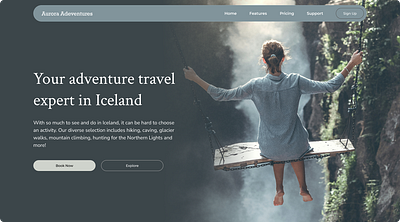 Hero Section Design: Iceland Travel Experts ui