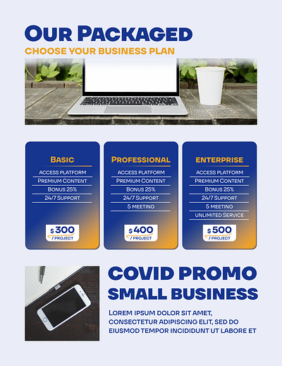 Business Plan Flyer Template graphic design