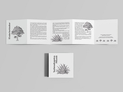 Libro plegable. Cuento indígena “El niño Horticultor”. brochure diseño visual editorial graphic design illustration libro