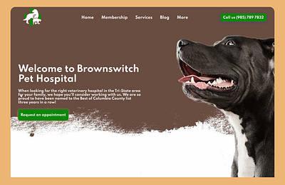 Veterinary doctor animal design figma landing page ui uidesign vetdoctor veterinary doctor webdesign website