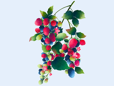 Blackberry branch art berries blackberry branch colorfull digital art food food illustration forest fresh fruit illustration fruits illustration kitchen art modern art nature poster procreate summer art wild berries