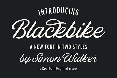 Blackbike blackbike display display font font ligatures script