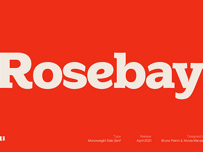 Rosebay Slab 1970s 70s branding caption contemporary display fashion headline impact logo rosebay slab serif text title