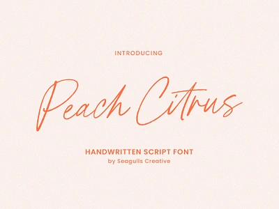 Peach Citrus - Handwritten Script Font casual font casual script font hand lettering handwriting handwriting font handwritten handwritten font handwritten script lettering logo font modern font script script font signature signature font signature script stylish font stylish signature typography