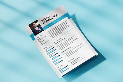 Professional Engineer Resume canva clean cv design elegant graphic design portfolio professional resume template