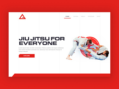 Gracie Barra Website graphic design