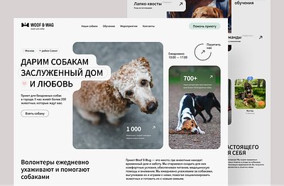 Website design the Animal Shelter ui