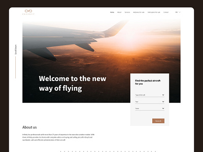 Infinity Aviation | Landing Page airplane aviation aviation company design hero hero section landing landing page ui web design website website design