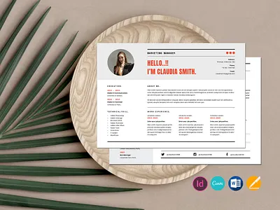Resume / CV Template brochure clean cv graphic design indesign job modern portfolio professional resume template