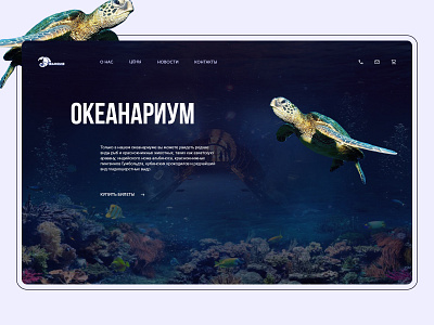 Концепт Океанариум concept design ui веб сайт животные океан океанариум