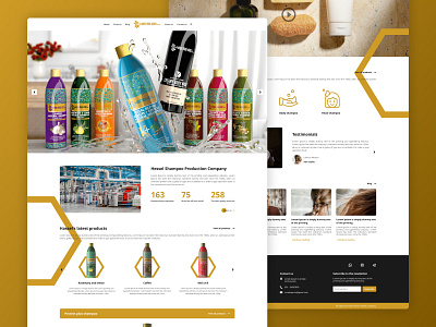 Web design for: Shampoo development company design designer modern design shampoo ui ui design web web design webdesign