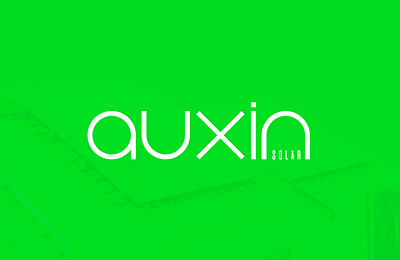 Auxin Solar: Accessible Solar Solutions for Every Home branding graphic design logo vector