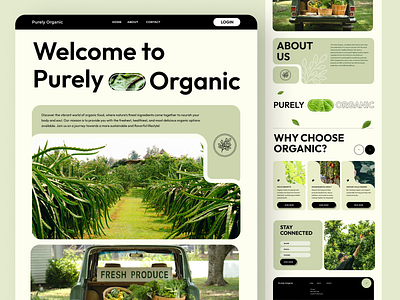 Organic Food Marketplace 🌱🍏 app figma ui ux web site