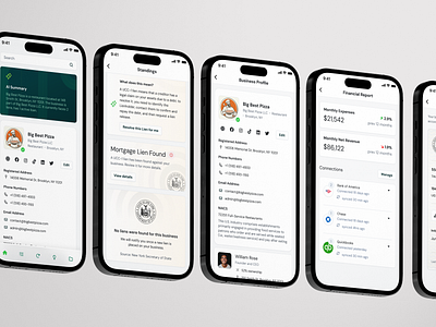 Business Profile accounts app banking banks business financial fintech iphone liens loans mortgage pizza profile report revenue standings ui