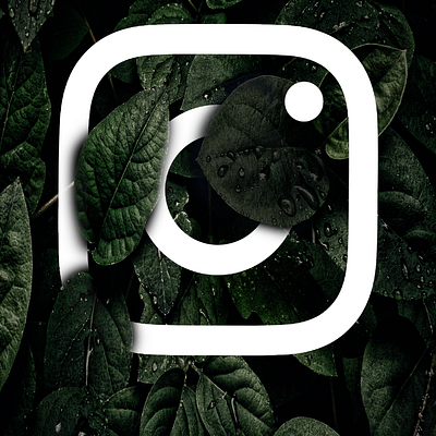 Instagram Logo Design graphic design logo