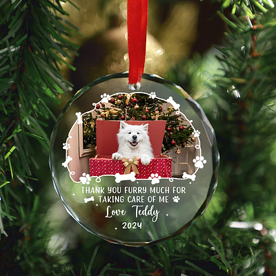 Christmas Ornament graphic design photoshop