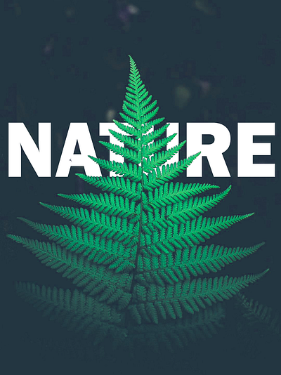 Instagram Post for Nature Lover graphic design