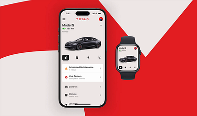 Tesla app UI - Light / dark mode app branding clean electric graphic design ios tesla ui