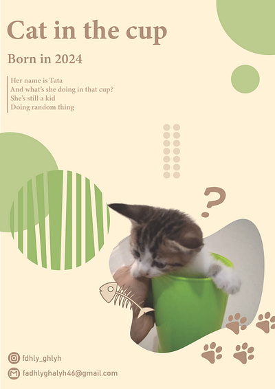 cat poster cat design graphic design poster