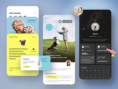 Dog Training App app design bento blue calendar card community dark date dog training event fresh life style light mobile app mobile design profile yellow