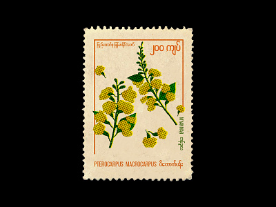 Vintage Post Stamp flower myanmar padauk post stamp thingyan vintage