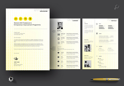 Application/ CV/ Resume Template functional professional resume