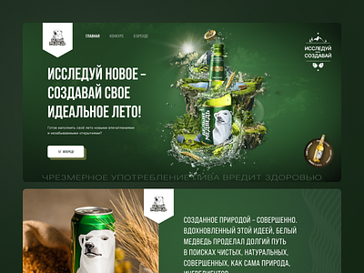 Website design for beer brand Polar Bear app branding design graphic design illustration logo typography ui ux vector