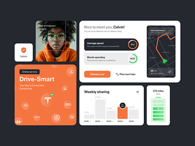 UI-UX for an Analytics Product ✦ Carsharing design interface product service startup ui ux web website