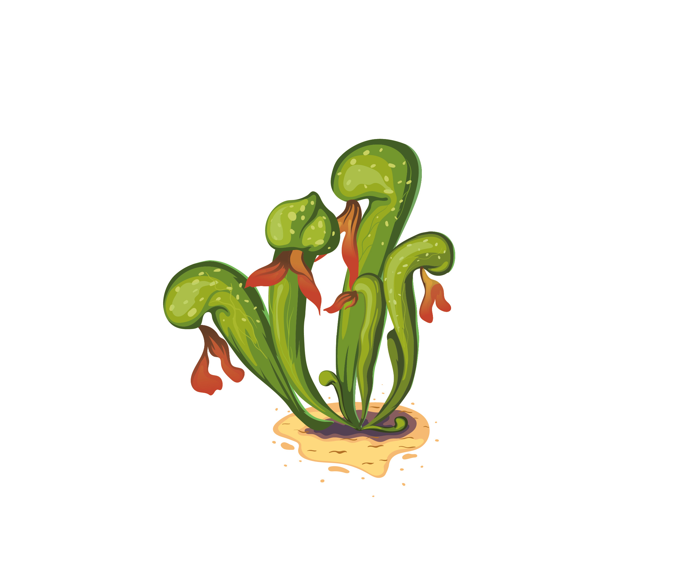 Cobra lily botanical card game cobra lily illustration plant playing cards vector