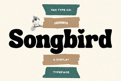 TAN - SONGBIRD bold font display font display type funky font groovy font groovy retro font mid century mid century modern mid century modern font modern font retro type tan songbird vintage font vintage type